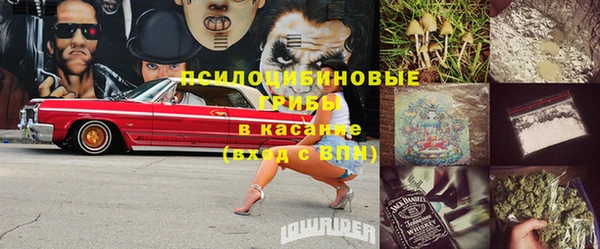 мдпв Сосновоборск