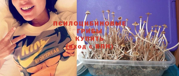 не бодяженный Струнино