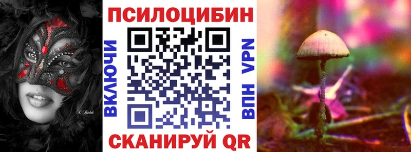 Купить  Тула  Псилоцибиновые грибы GOLDEN TEACHER 